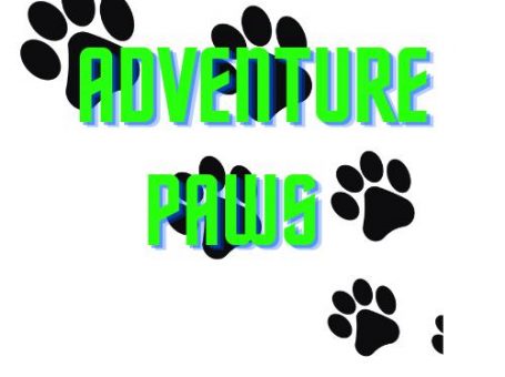 Adventure Paws – Dog Walking & Pet Sitting Service