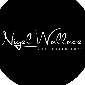 Nigel Wallace Dog Photography – Award Winning  BBC1 & ITV featured