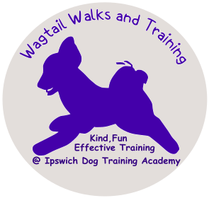 Wagtail Walk and Training – Royal Kennel Club Approved