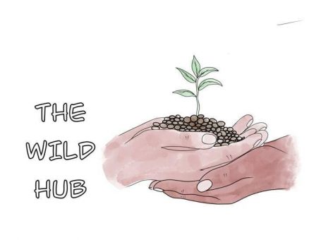 The Wild Hub – Community Project Tackling Isolation and Loneliness