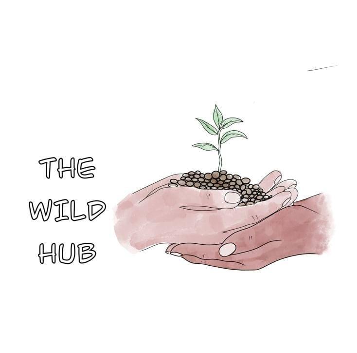 The Wild Hub - Community Project Tackling Isolation and Loneliness