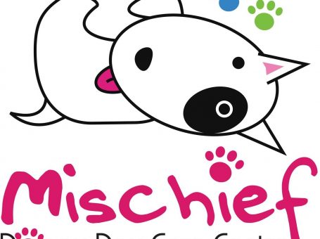 Mischief Doggy Daycare – Play Learn Run..It’s all about having Fun