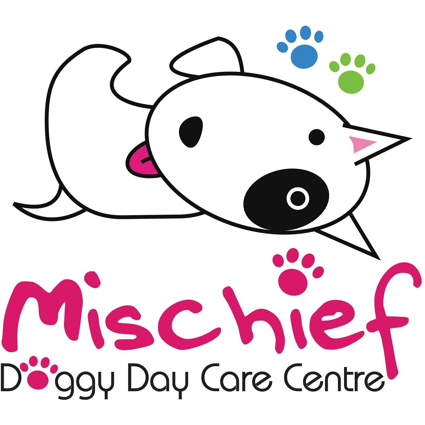 Mischief Doggy Daycare - Play Learn Run..It's all about having Fun