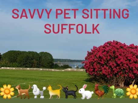 Savvy Pet Sitting Services – Walks, Talks, Treats