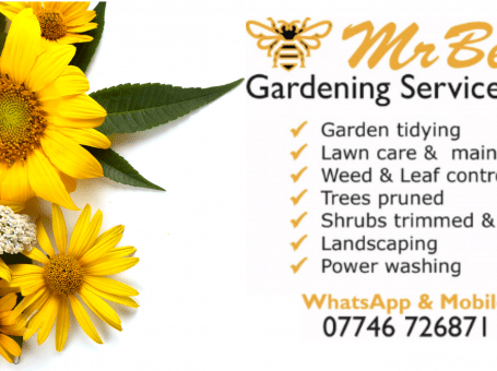 Mr BEES Gardening Service LTD – Cultivating Beauty, Naturally