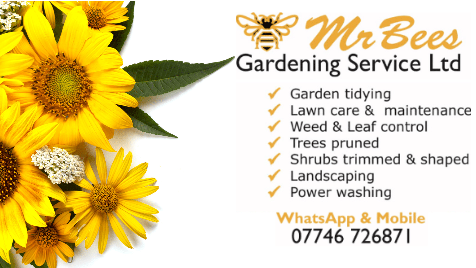 Mr BEES Gardening Service LTD - Cultivating Beauty, Naturally
