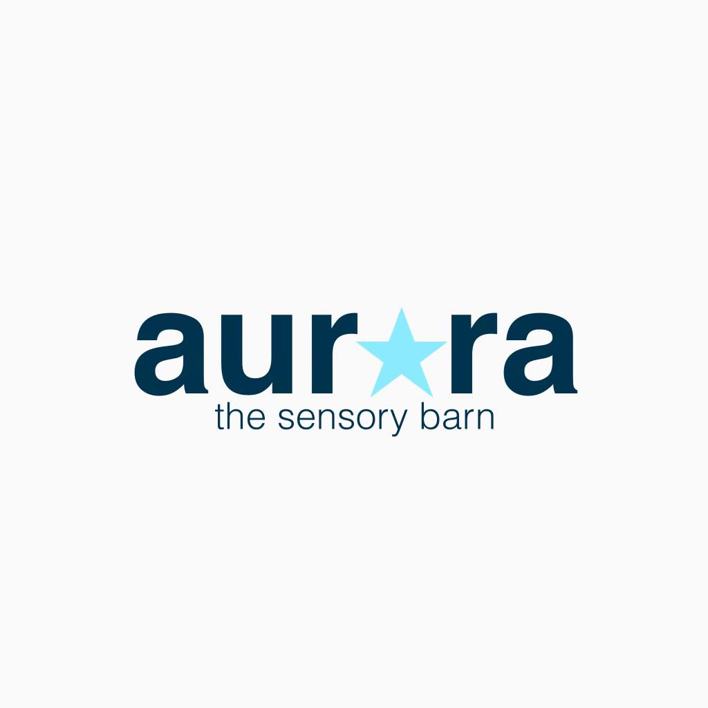 Aurora - The Sensory Barn 