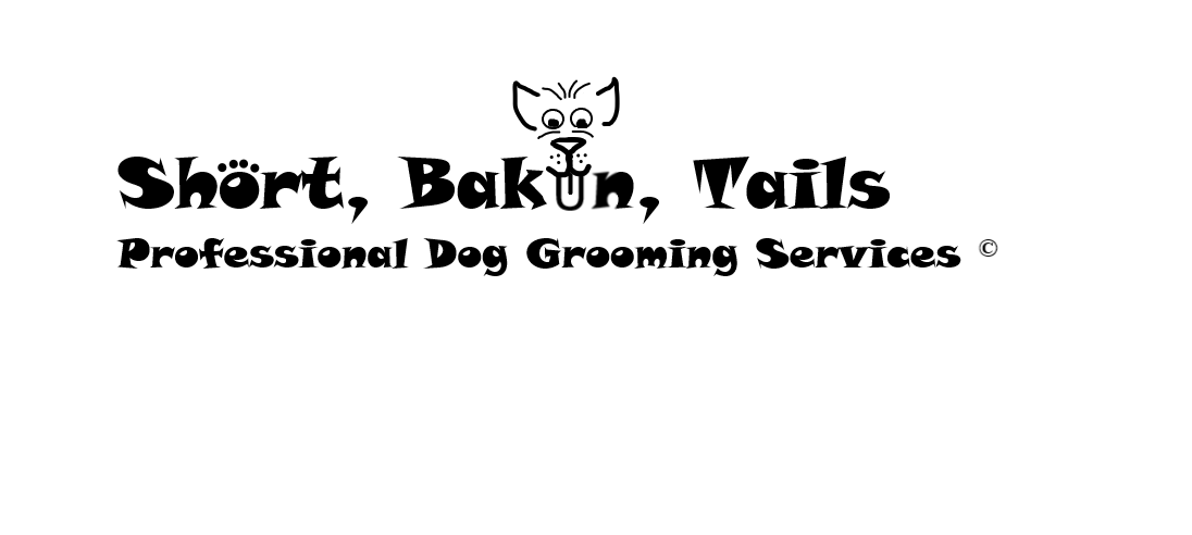 Short Bakun Tails - professional Dog Grooming Services