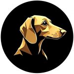 Tilly Dog Productions – Animated Logo and Graphic Design